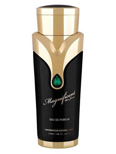 Magnificent Pour Femme de Armaf